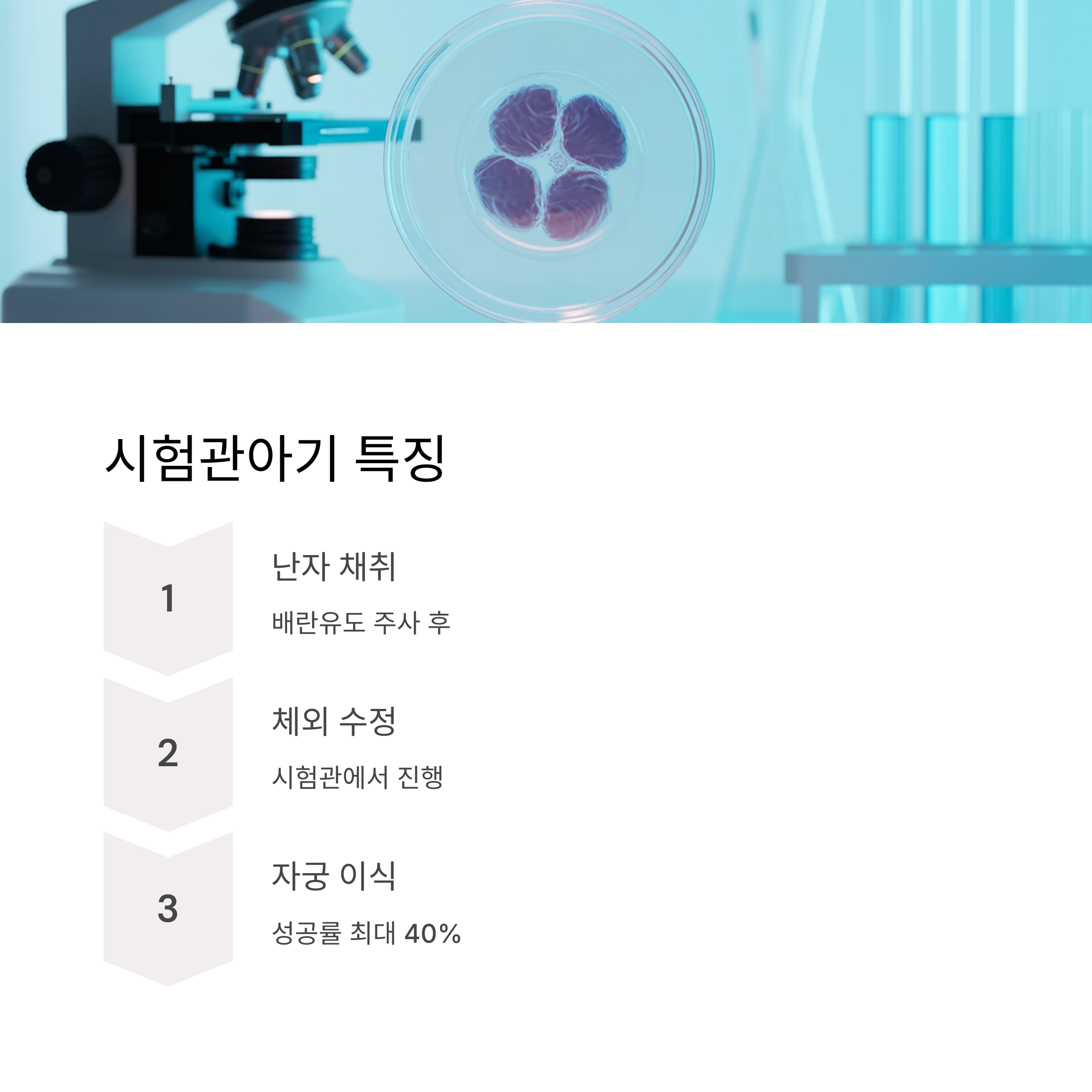 실험실에서 체외수정 중인 배아 사진과 함께 시험관아기 시술 특징(난자 채취, 체외 수정, 자궁 이식)을 안내한 이미지