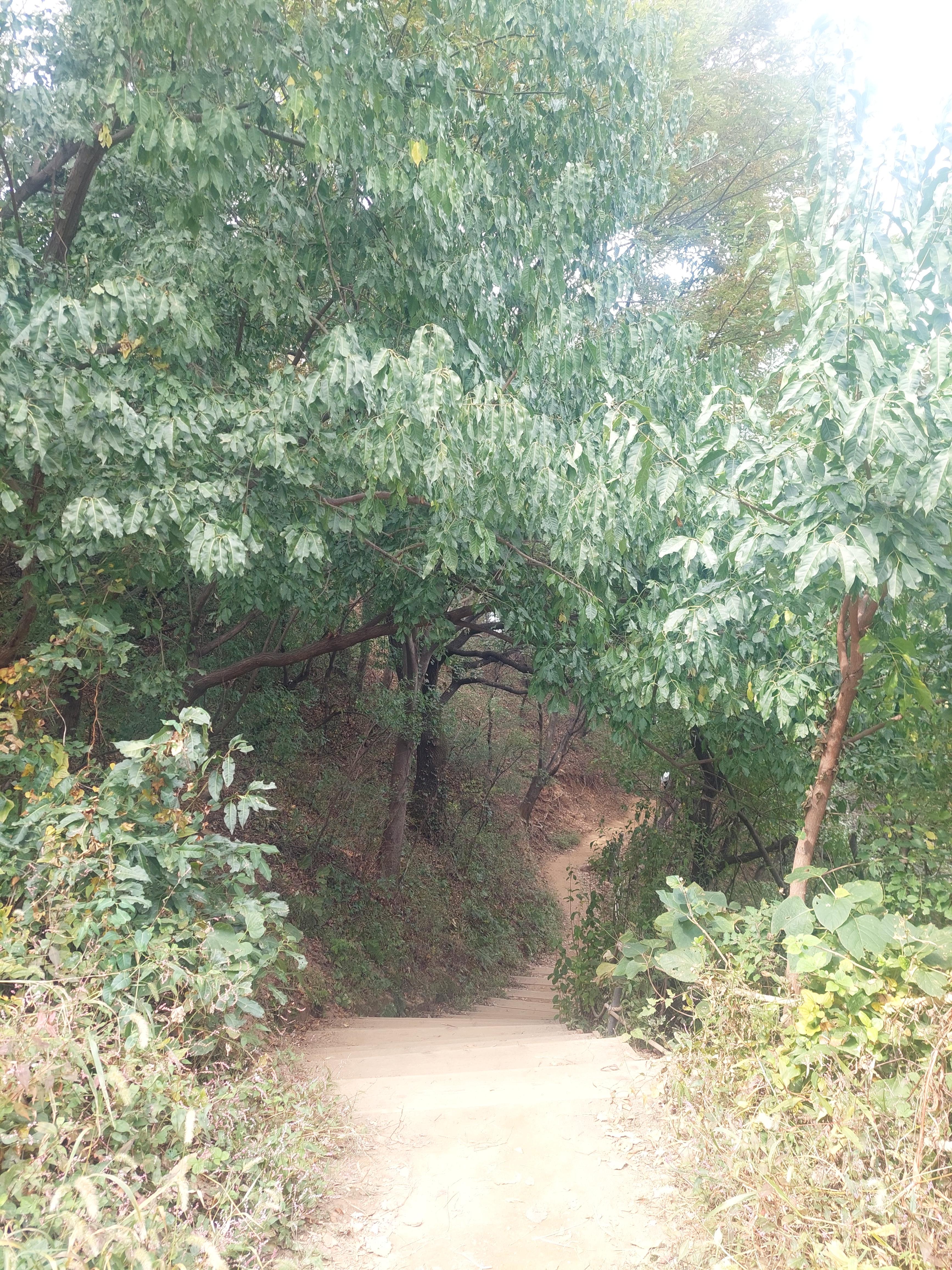 안산
