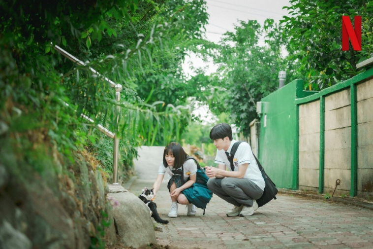 너의 시간 속으로