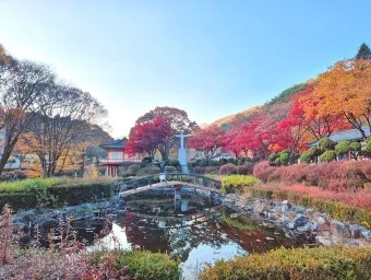 가을 단풍 여행지 베스트10 산책로 사진스팟 대중교통으로 여유롭게_16