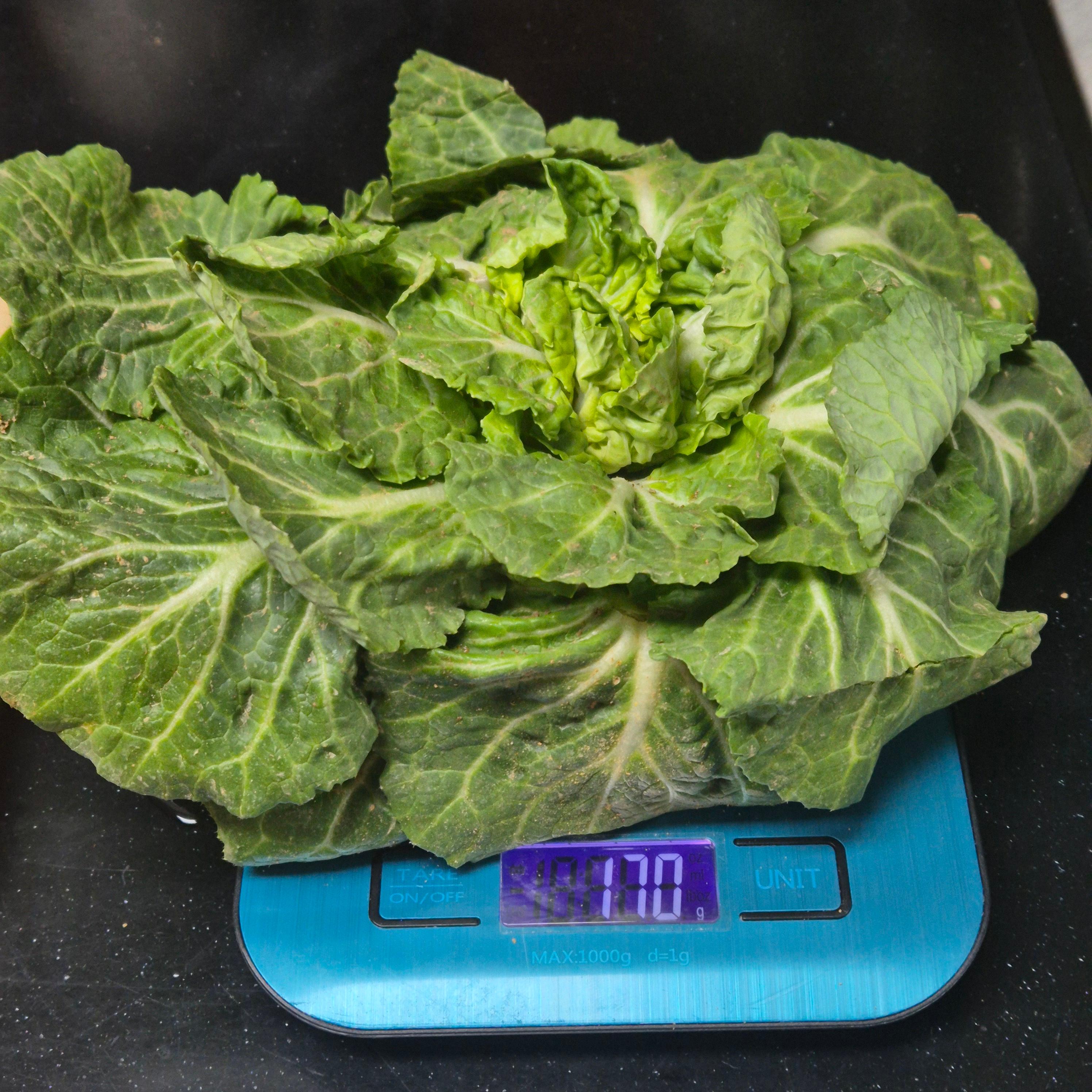 봄동비빔밥, 봄동요리, 봄제철음식, 봄동레시피, 비빔밥레시피, 집밥레시피, 간단요리, 한그릇요리, 봄요리, 제철요리, 집밥메뉴, 건강식단, 야채요리, 계란후라이비빔밥, 비빔밥양념, 제철채소, 봄동무침, 집밥추천, 오늘뭐먹지, 요리레시피