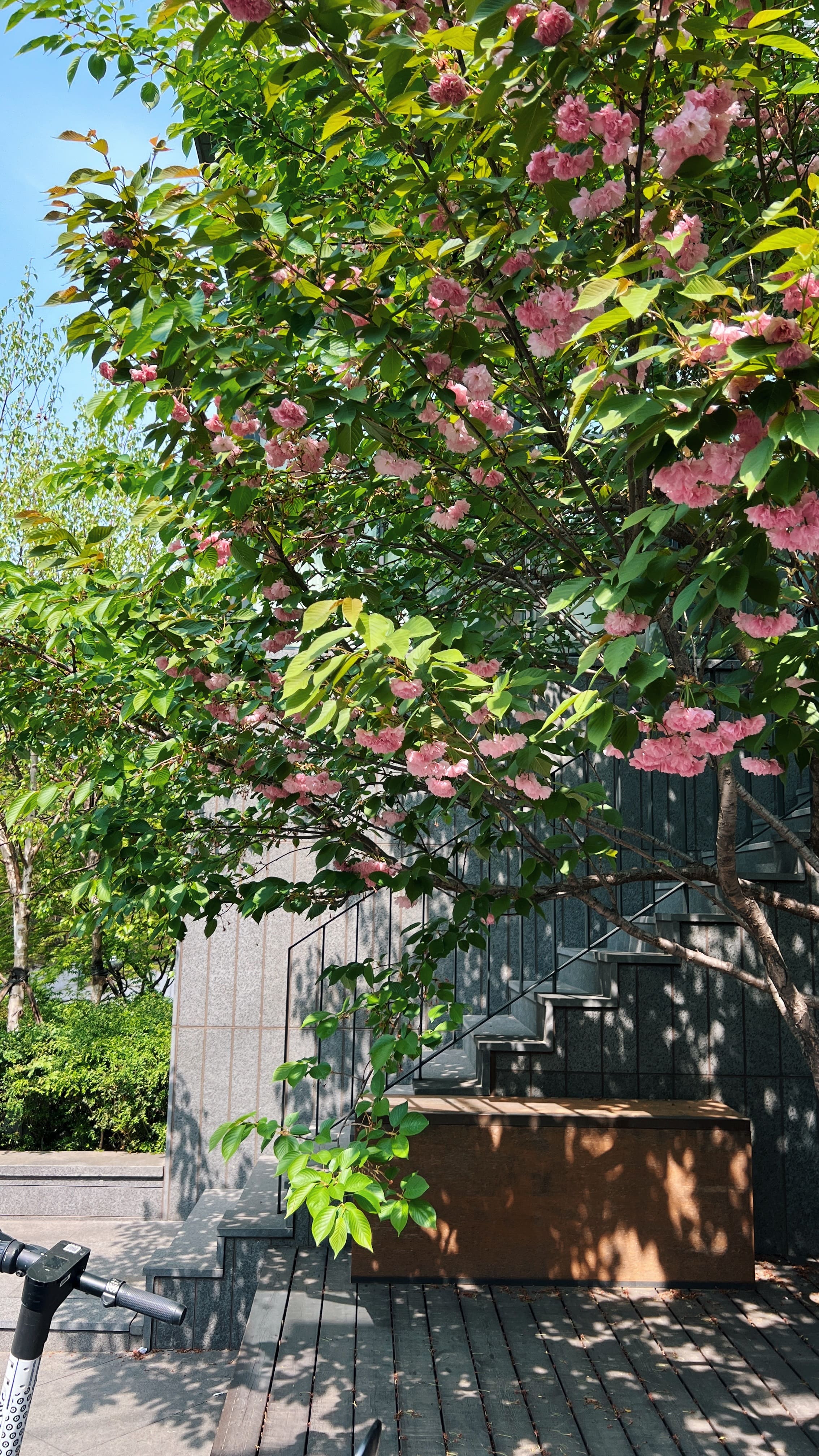 이태원-한남동-카페-추천-한남작업실