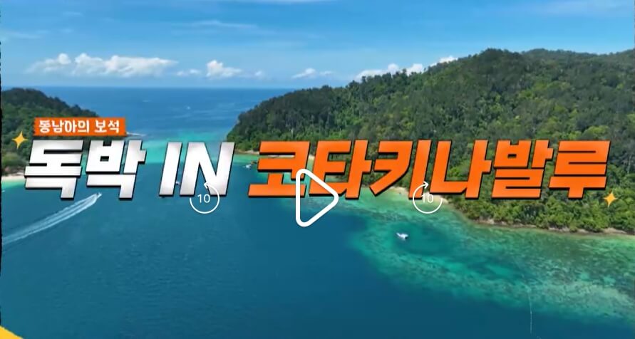 니돈내산-독박투어3-20회