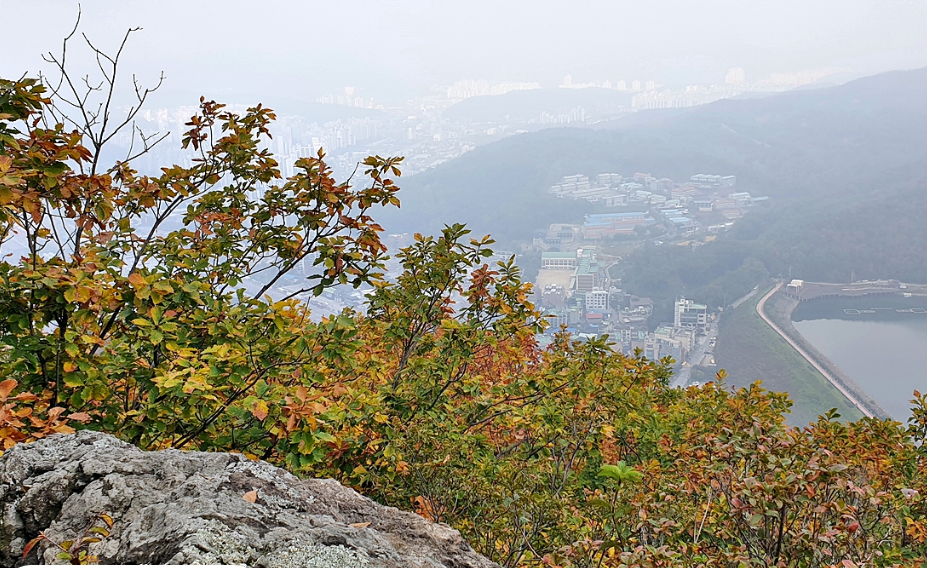 제20회 광릉숲축제 2025 완전 가이드 - 1년에 단 한 번 열리는 신비의 유네스코 숲