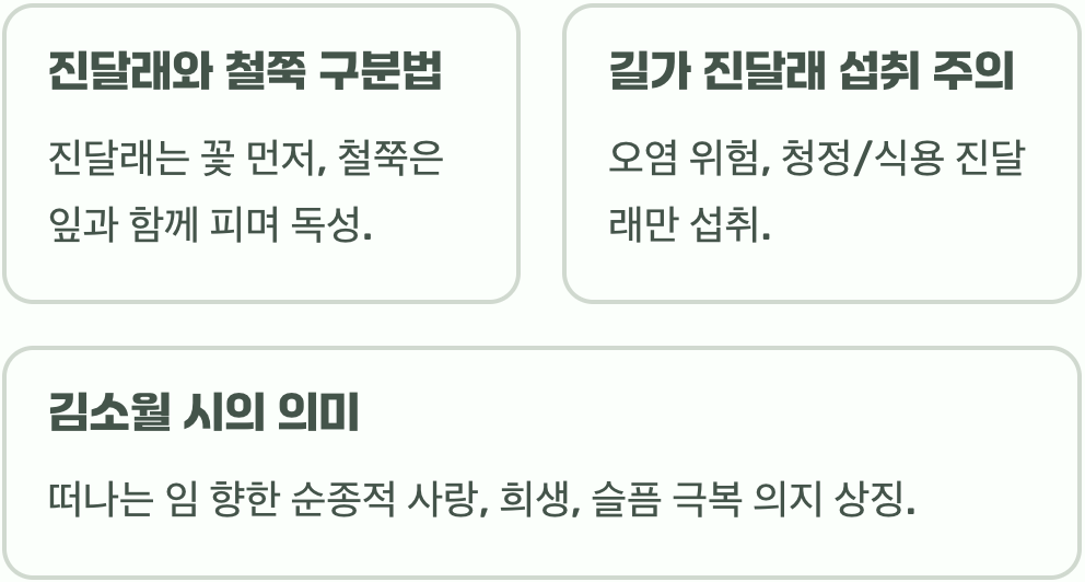 진달래 꽃말 사랑의 기쁨과 절제의 상징으로 불리는 특별한 의미