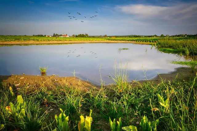 물받침 관리 물때제거 냄새억제 세척주기 청결유지 요령_4