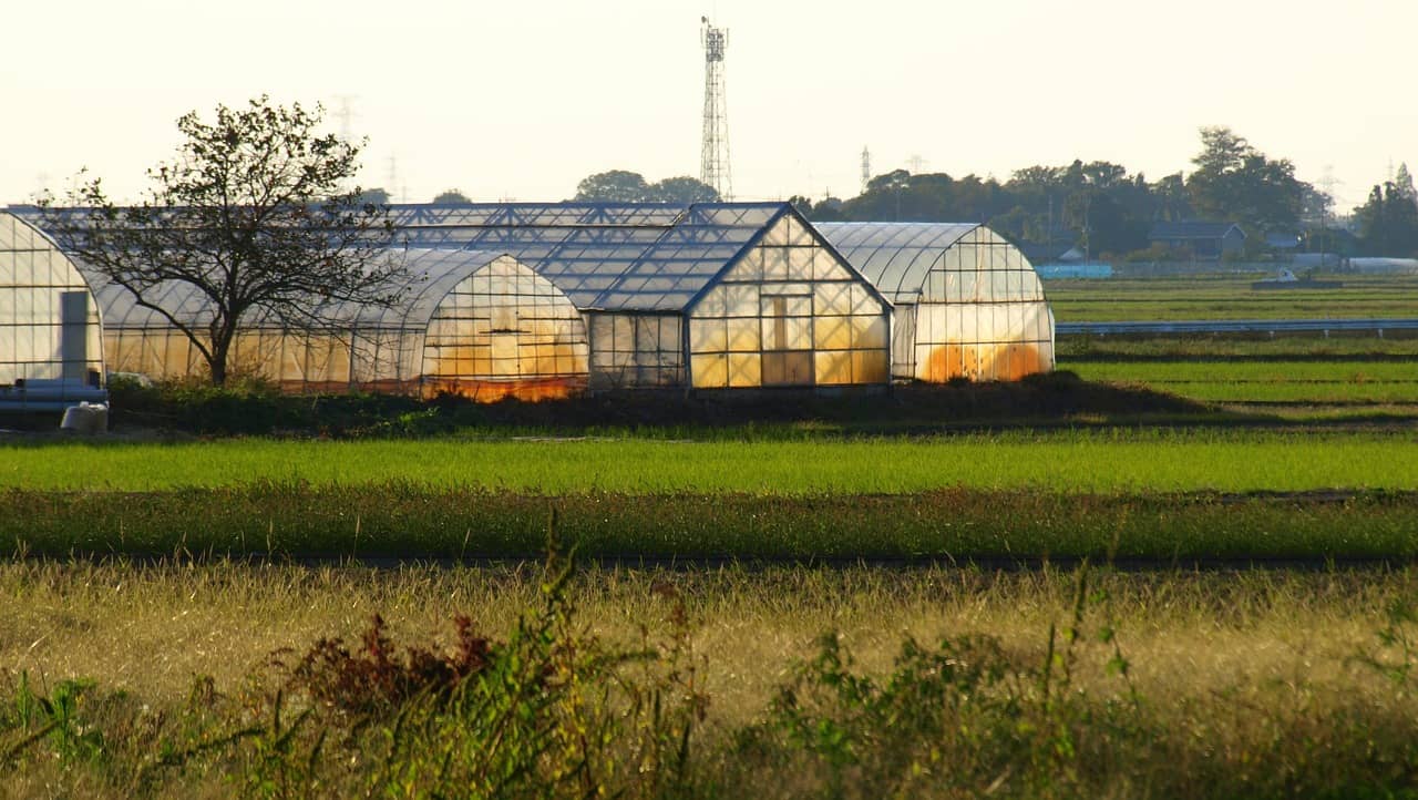 농가용 스마트팜 자동화 기술을 활용하여 초보 농가가 바로 구현할 수 있는 스마트팜 원격 알림 시스템 구축법