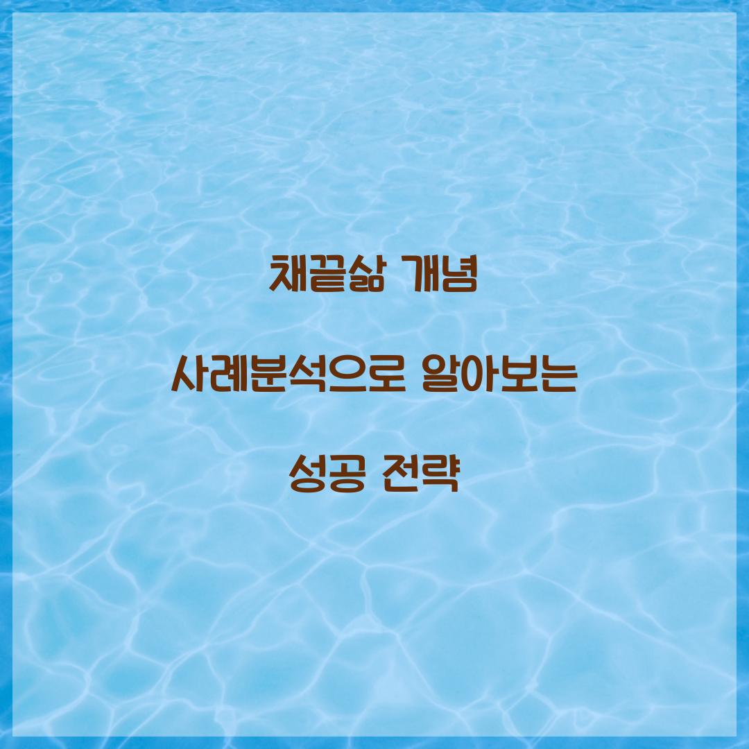 채끝삶 개념 사례분석