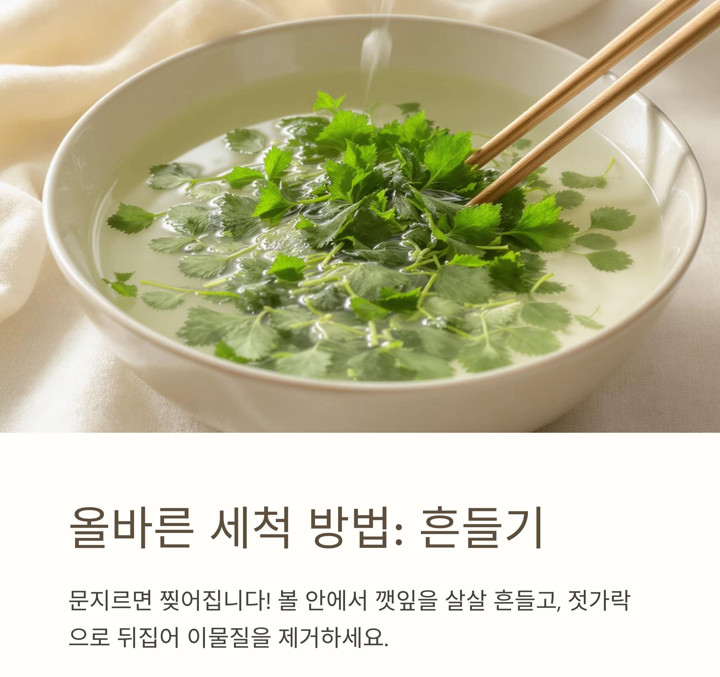 깻잎에 남은 이물질까지 말끔하게! 초보도 쉽게 하는 세척법