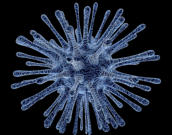 바이러스 [ 출처 : 픽사베이 ]