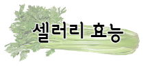 케일 효능15가지와 부작용 및 먹는 방법