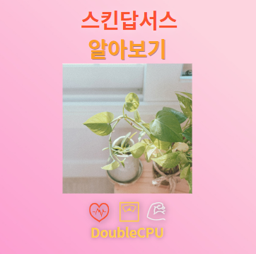 스킨답서스 탐구