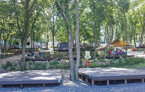 비슬산 자연휴양림 예약 카라반 물놀이 숲속의집 콘도