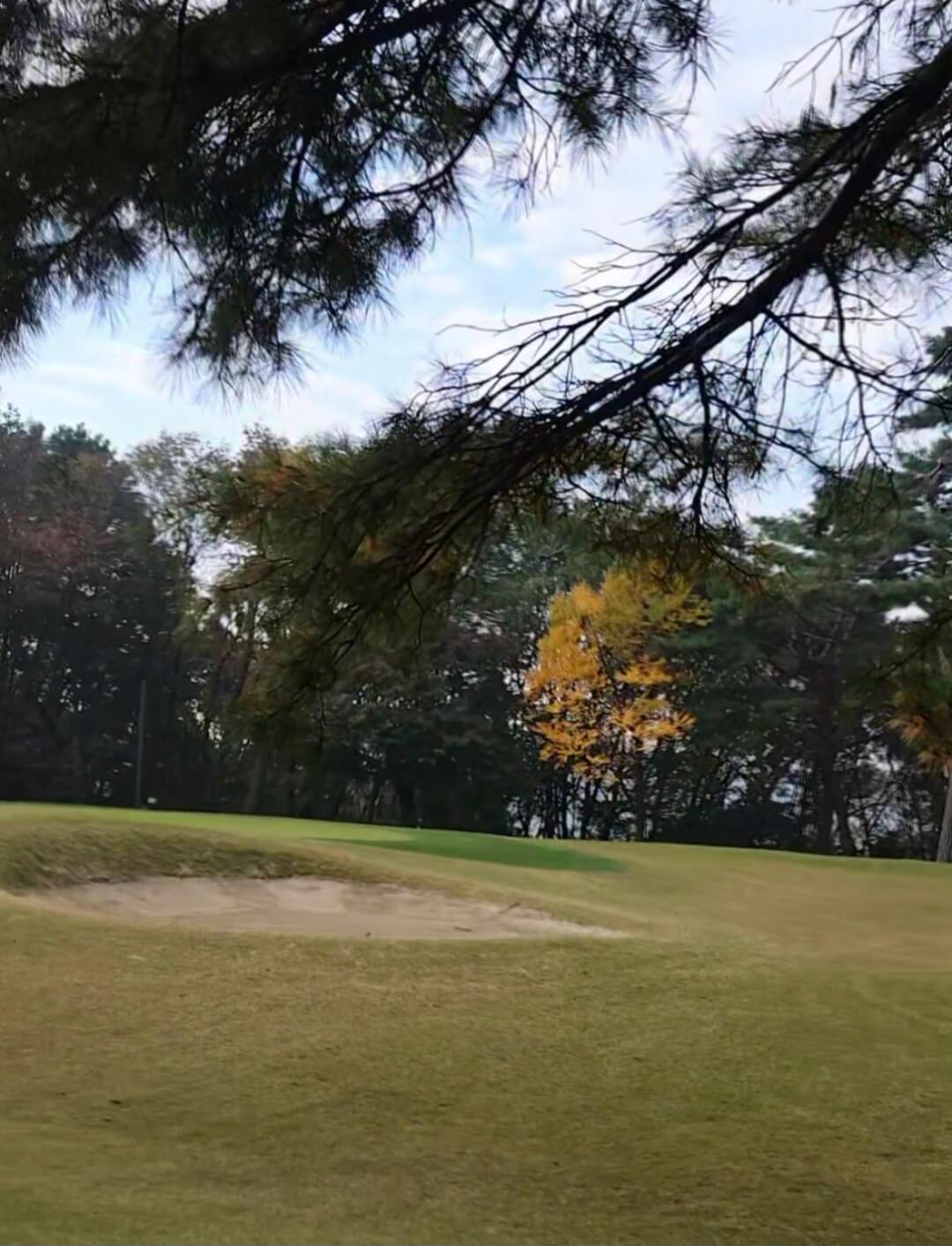 화산CC 그린주변