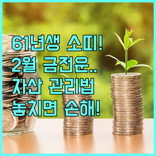 1961년생 소띠 2월 금전운과 자산..