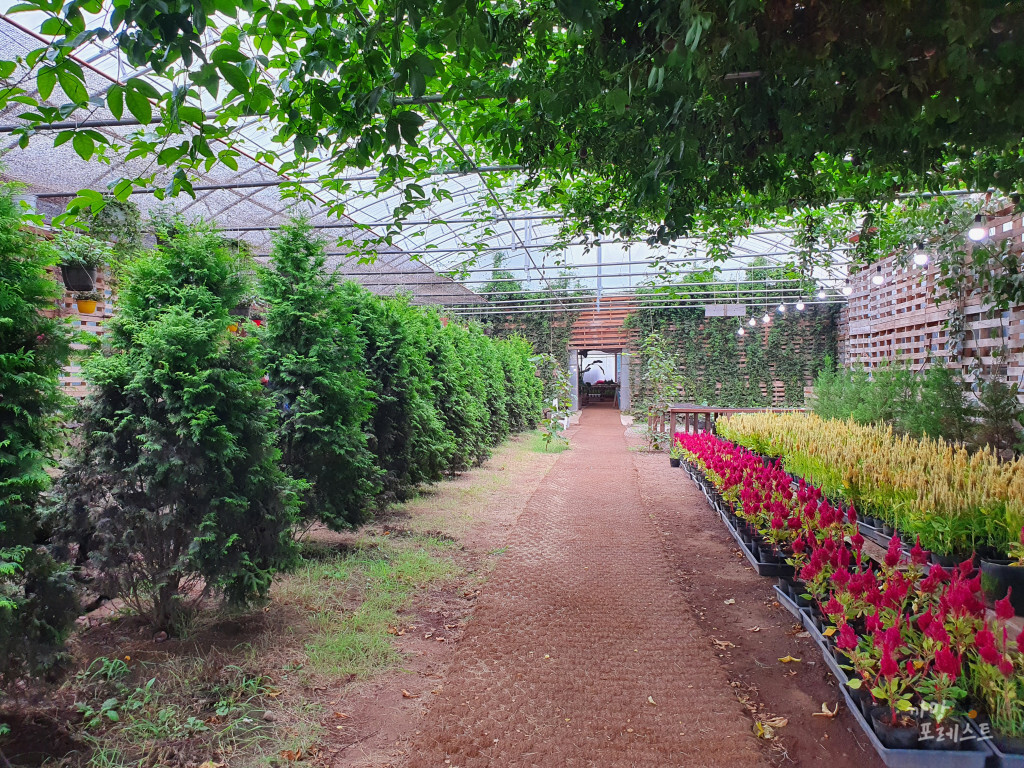 표선 보롬왓 실내 정원