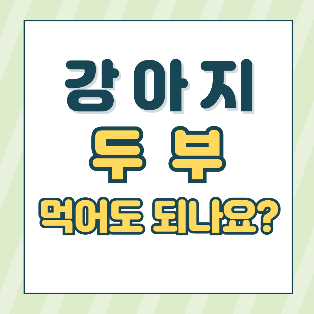 강아지두부먹어도되나요?