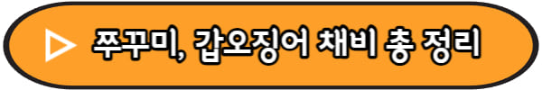 채비-정보