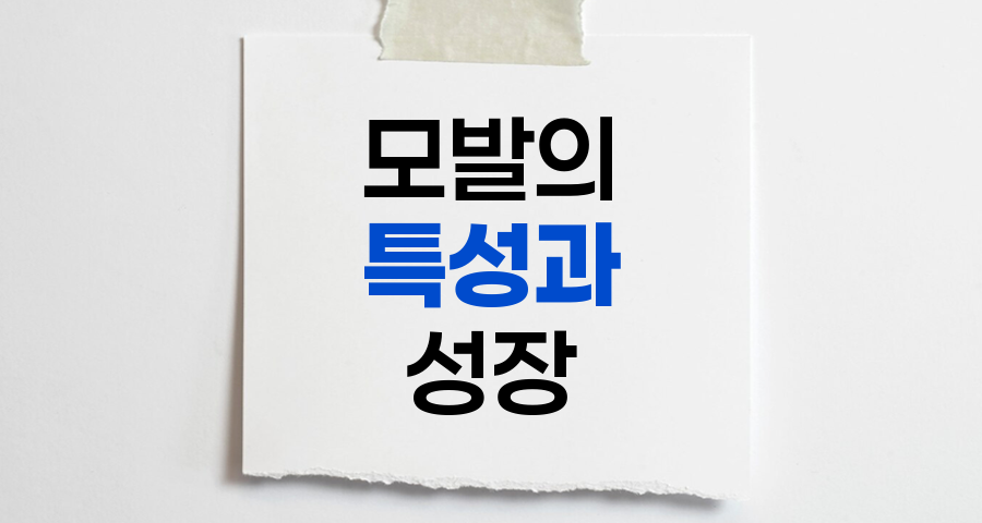모발의 특성과 성장 주기
