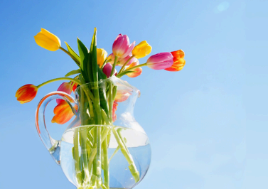 프로랄 디자인 (이미지 : 픽사베이. 무료 상업적 이용가능) * 출처 : https://pixabay.com/ko/photos/%ED%8A%A4%EB%A6%BD-%EA%BD%83%EB%93%A4-%EB%B4%84-%EA%BD%83%EC%9D%98-%ED%94%BC%EC%B2%98-7404506/