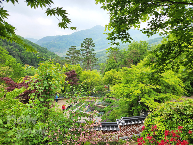 화담숲