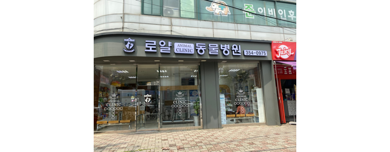 서울 은평구 동물병원