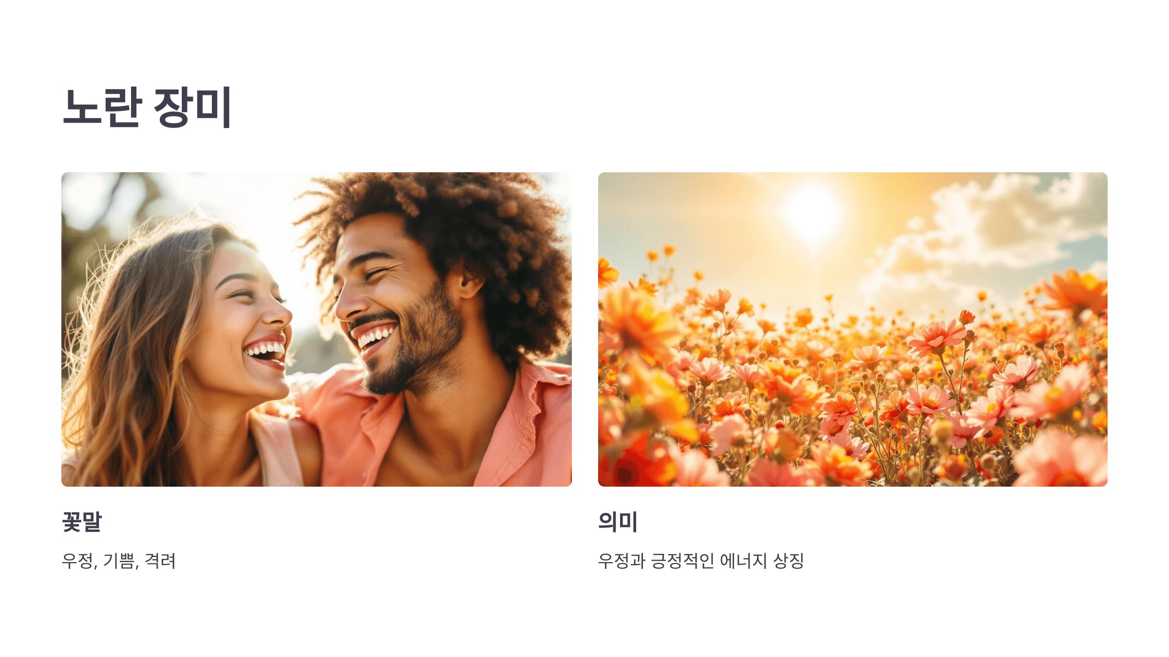 장미 사진입니다.