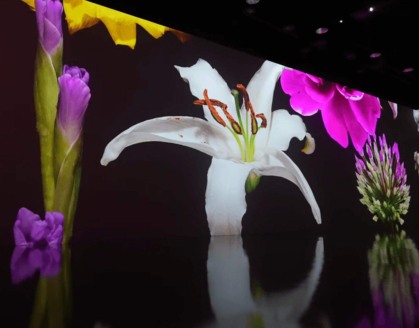 화담숲 예약 시작 입장료 1