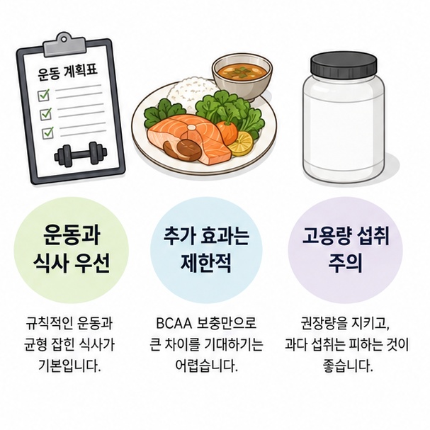 BCAA 보충제보다 규칙적인 운동과 충분한 단백질 섭취를 우선하고 과도한 보충제 섭취를 피해야 함을 보여주는 그림