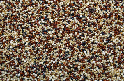 건강에 좋은 슈퍼 푸드 소개