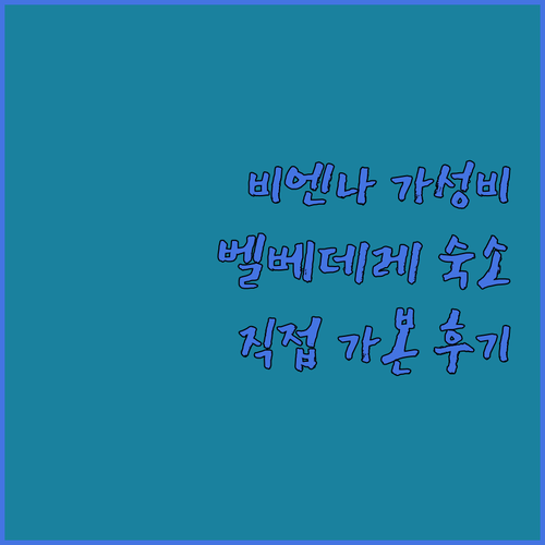 직접 분석한 비엔나 가성비 숙소 정보..