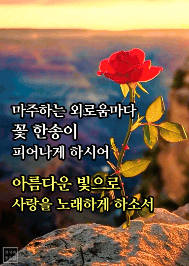 6월의 기도문 이미지