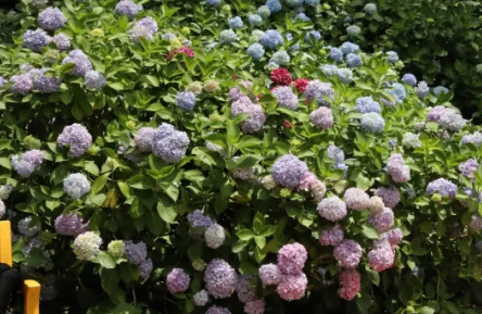 부산 여름 여행 필수! 시원한 야외 장소 BEST 5 추천 가볼만한곳