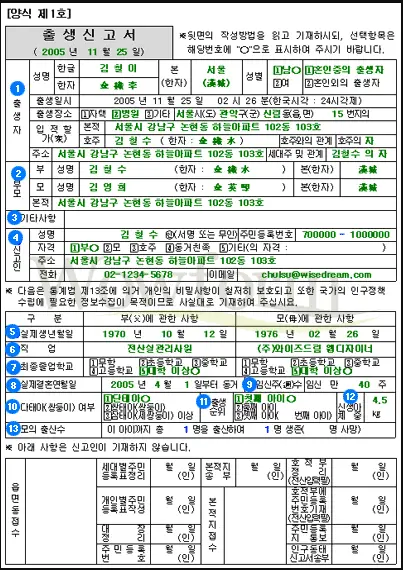출생신고서-서식