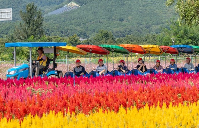 고석정꽃밭-깡통열차