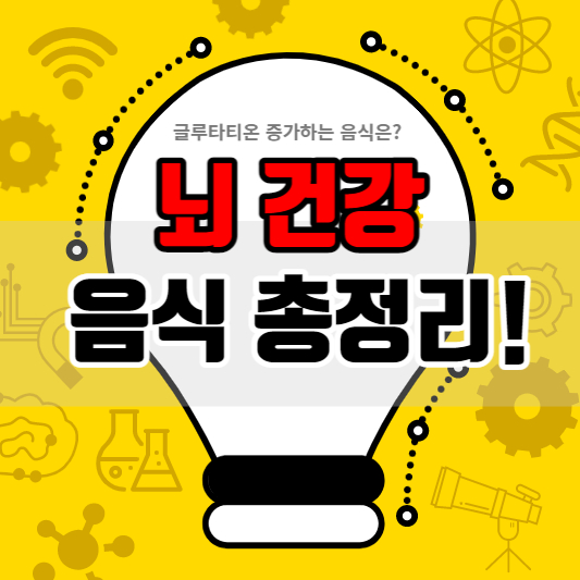 뇌건강 살리는 음식 총정리