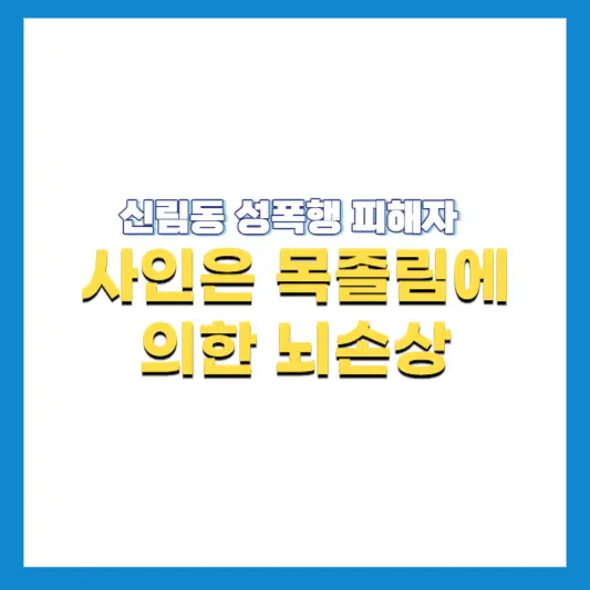 신림동-성폭행-피해자-사인은-뇌손상