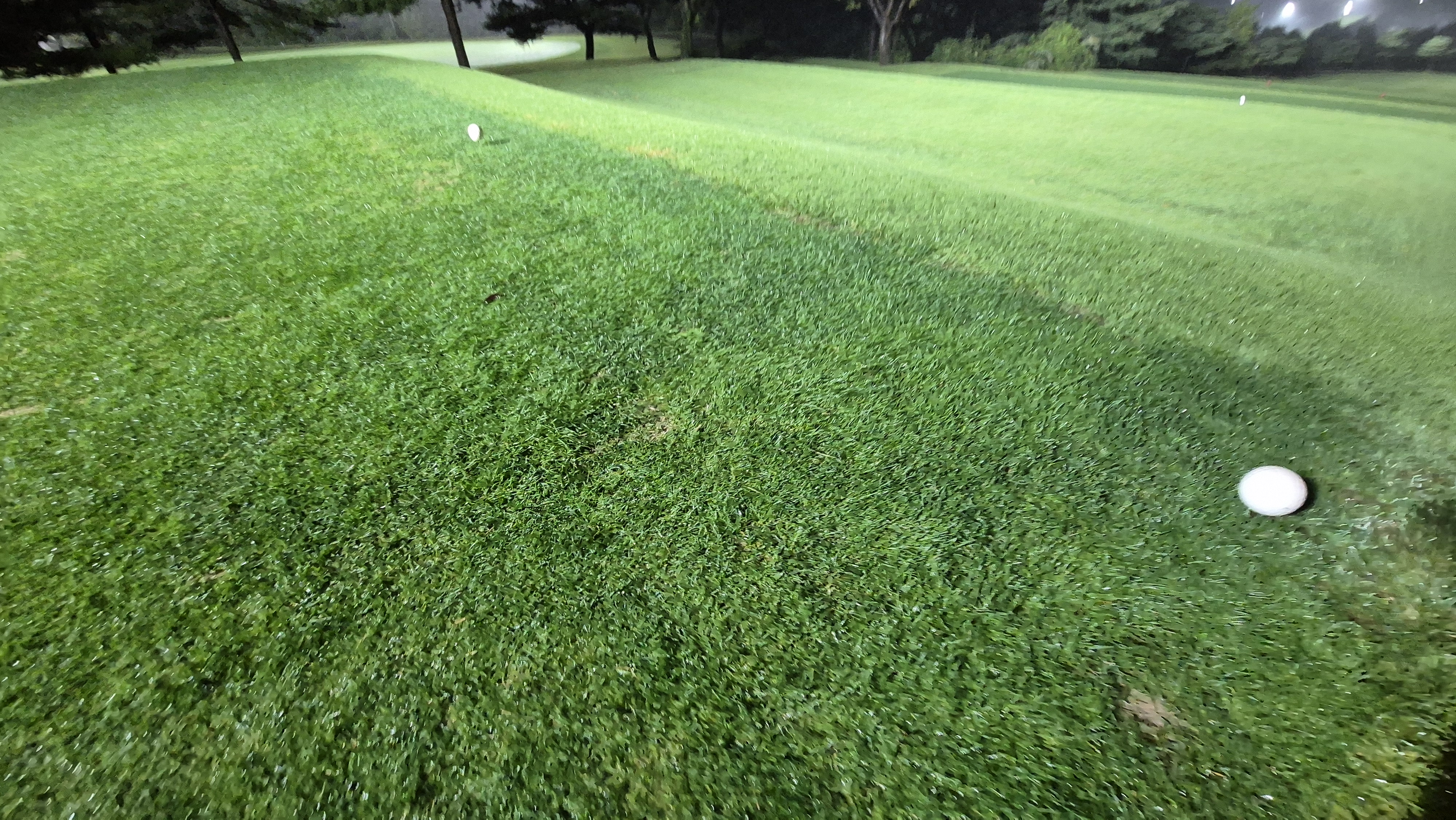 블루원용인cc 티잉구역상태