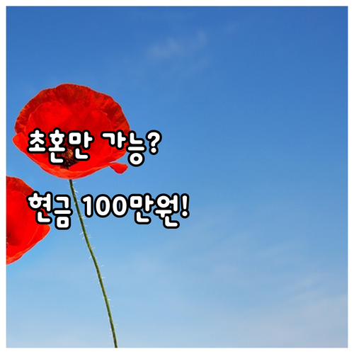 2025 충북 결혼지원금 100만원 ..