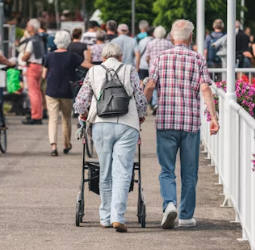 콘드로이친 효능 복용법 시간 부작용