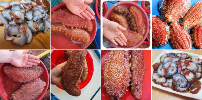 홍해삼 네이버 캡처 사진