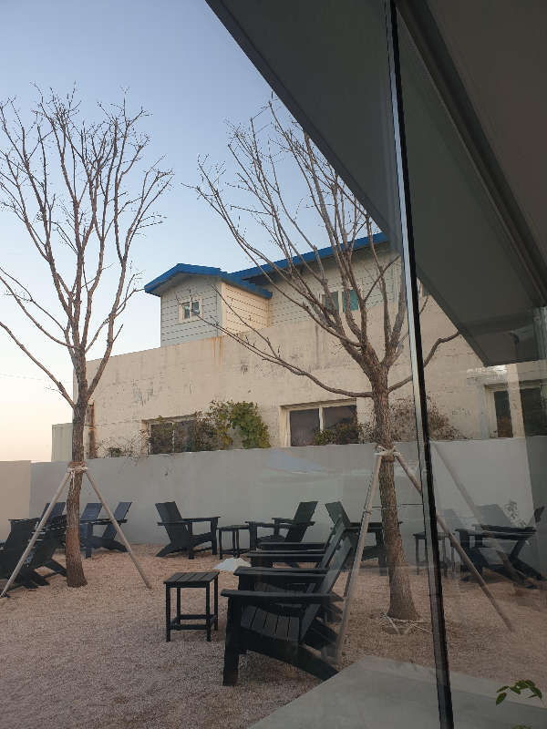 잎이 떨어진 나무 주위로 배치된 야외 테이블과 의자