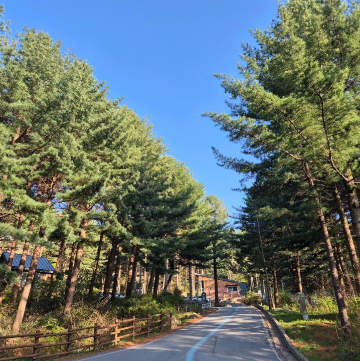 국립청태산자연휴양림
