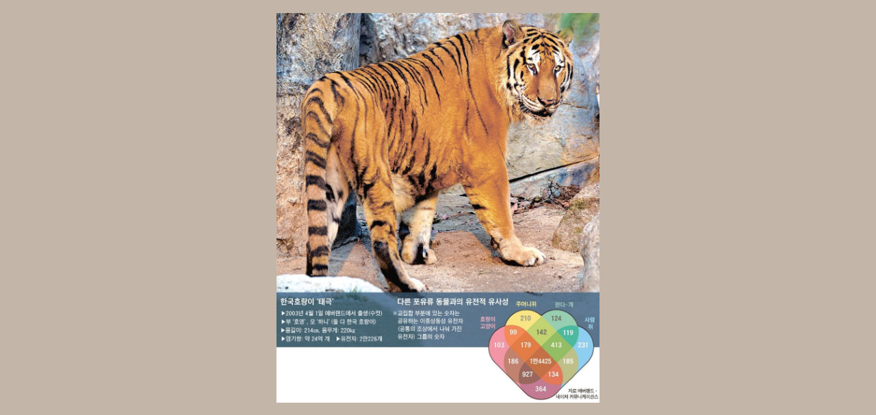 태극이, 호랑이 유전체 해독