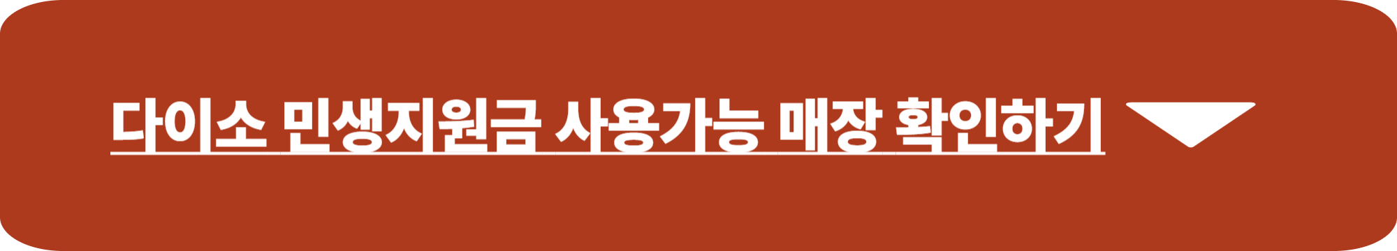다이소 민생지원금 사용처