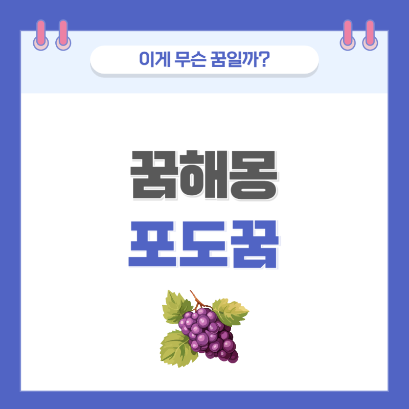 [꿈해몽] 포도나오는 꿈 의미와 해석