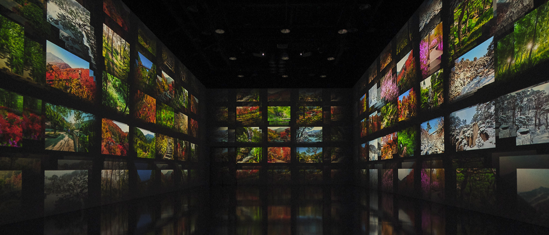 화담숲 예약 모노레일 예약 관람방법