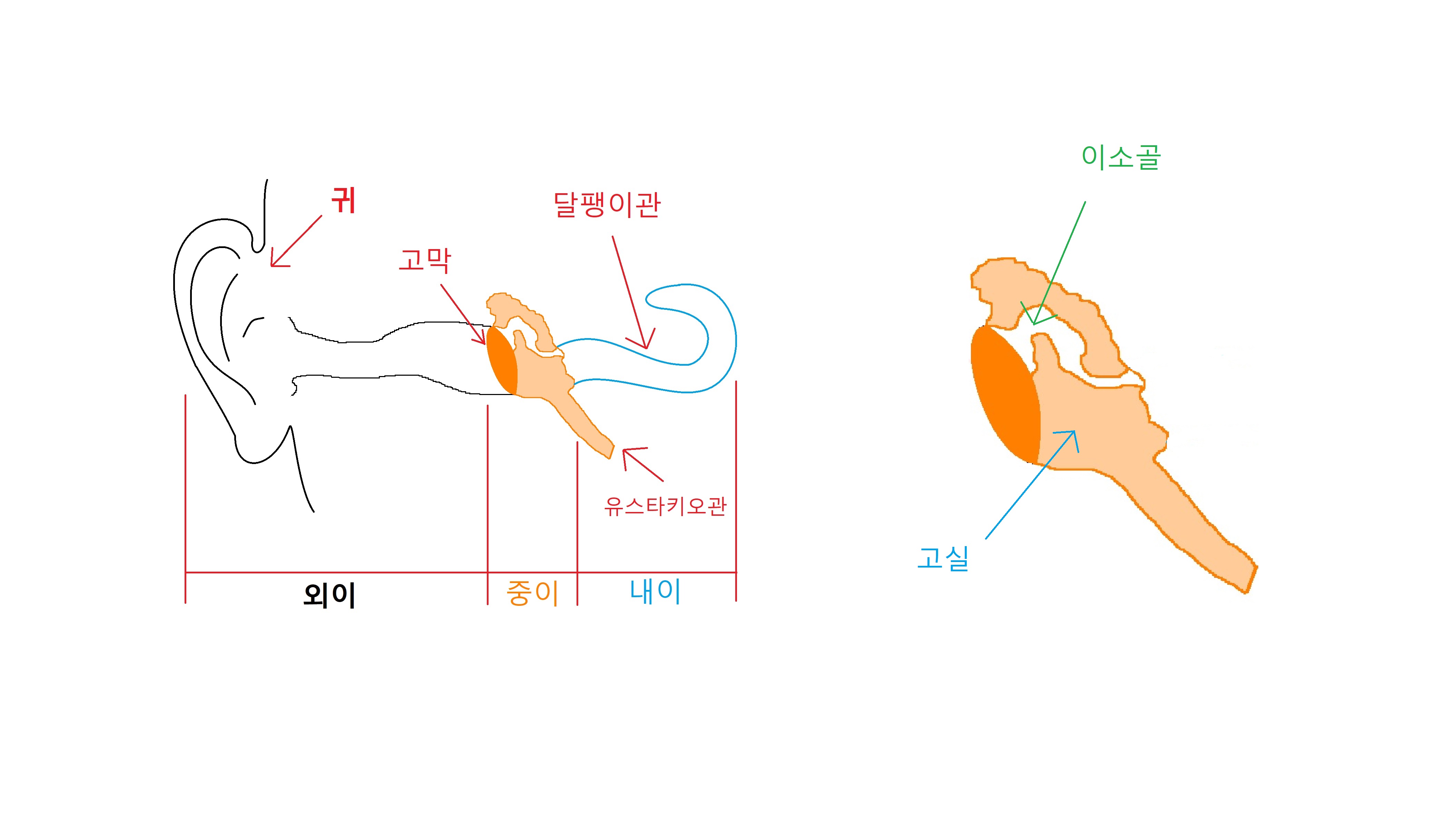 중이-그림