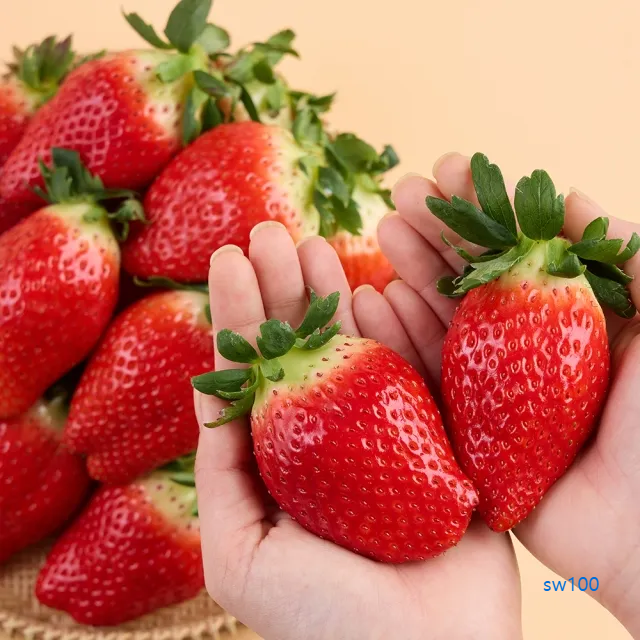 델푸릇 살펴보기 3