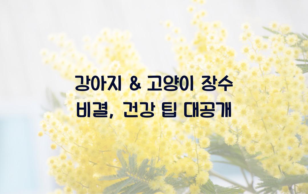 강아지 & 고양이 장수 비결, 반려동물 건강하게 키우는 필수 팁